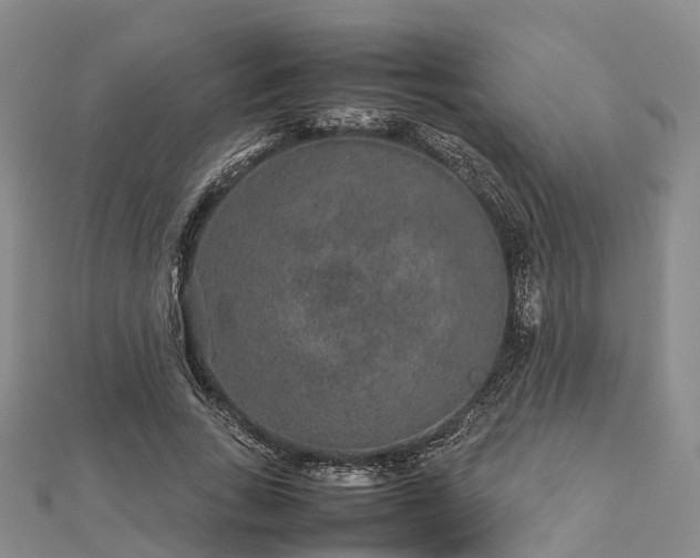 X0000113010735200909031313