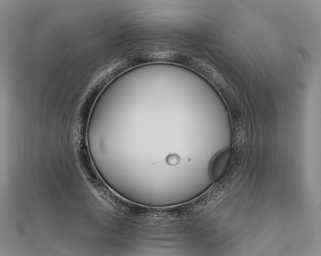 X0000113010736200909031313