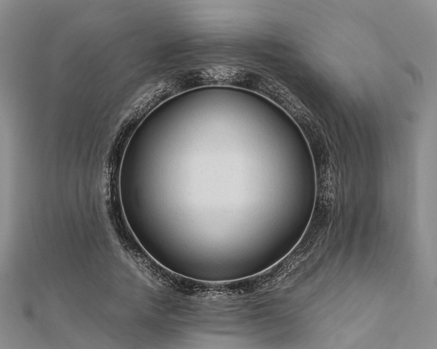 X0000113010738200909031313