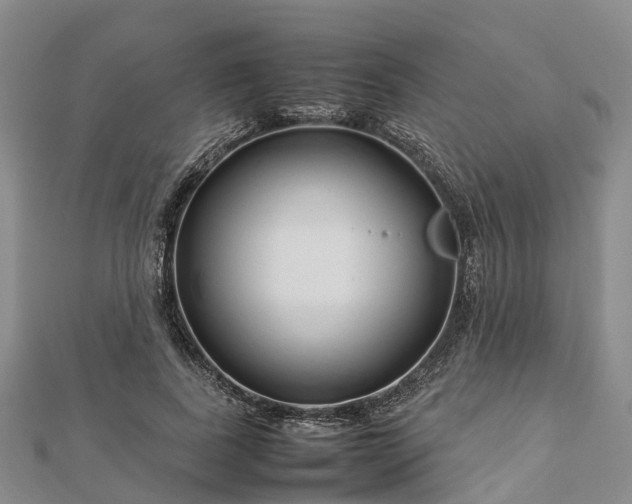 X0000113010739200909031313