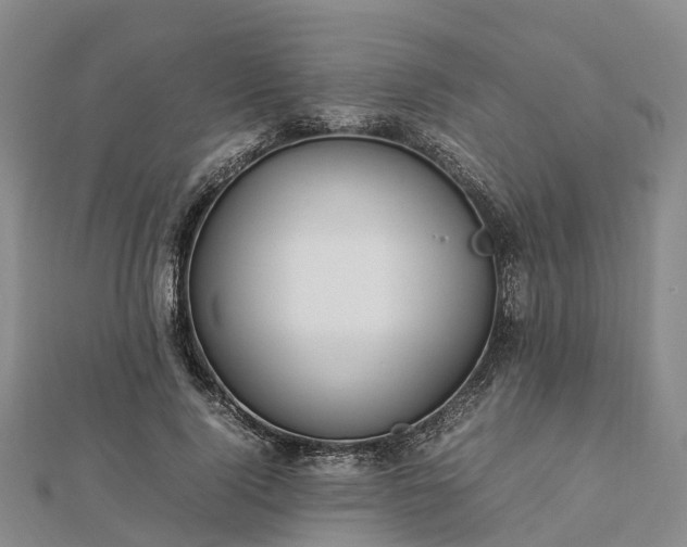 X0000113010740200909031313