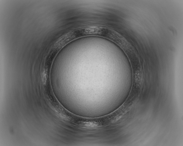 X0000113010741200909031313