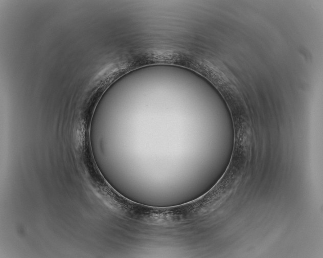 X0000113010744200909031313