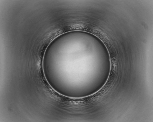 X0000113010745200909031313