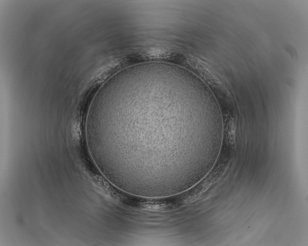 X0000113010746200909031313