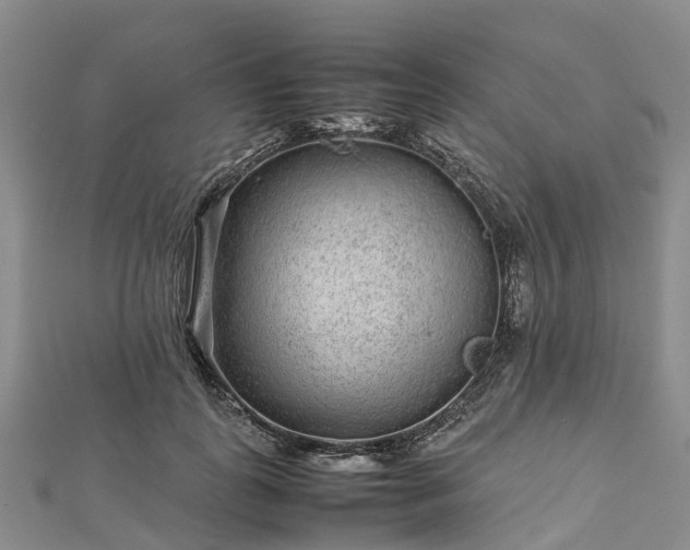 X0000113010747200909031313