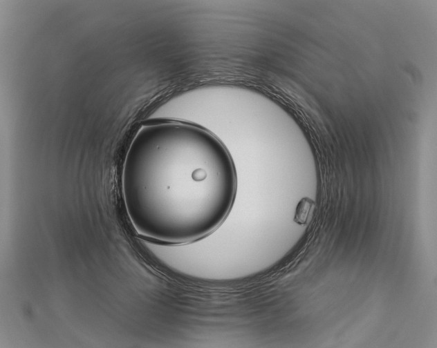 X0000113010748200909031313