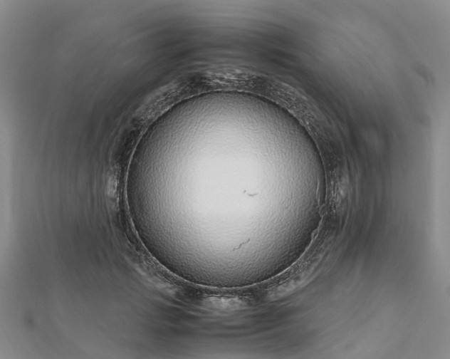 X0000113010749200909031313