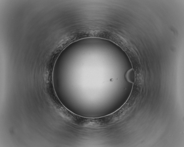 X0000113010750200909031313