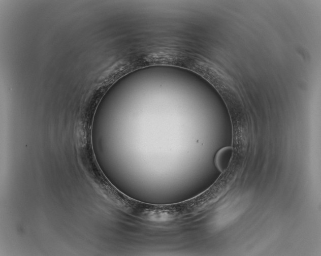 X0000113010751200909031313