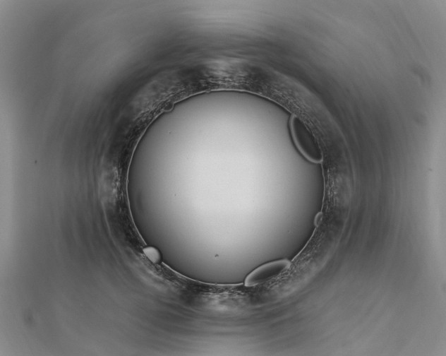 X0000113010752200909031313