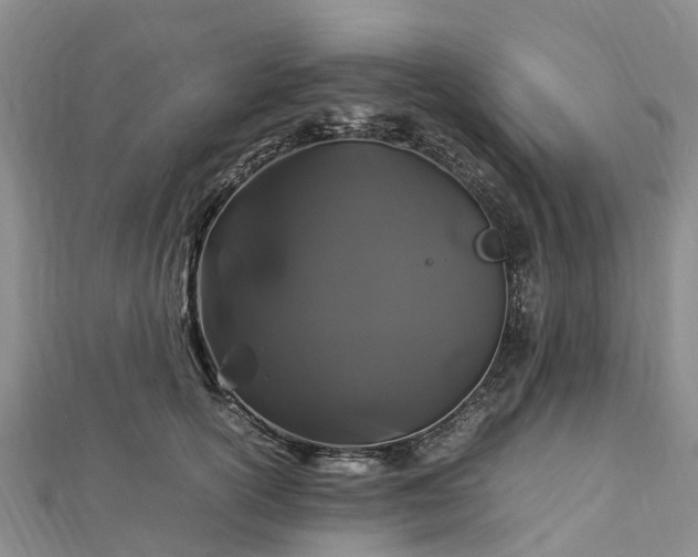 X0000113010754200909031313