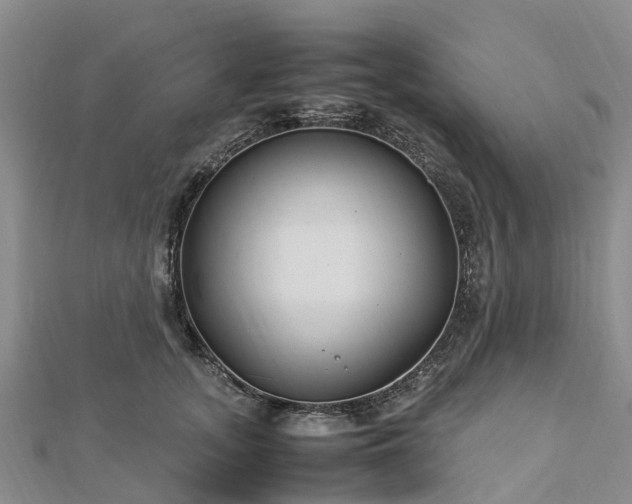 X0000113010755200909031313