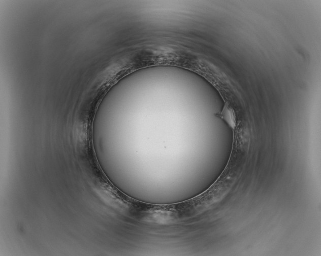 X0000113010756200909031313