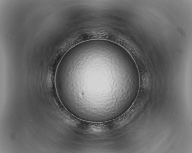 X0000113010757200909031313