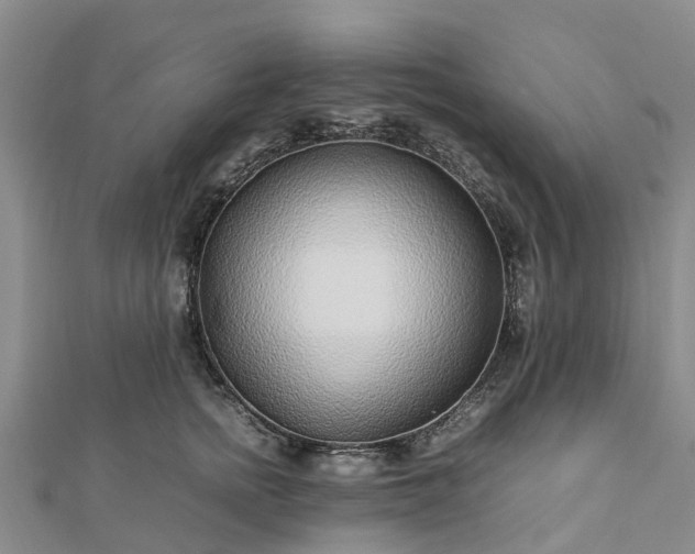 X0000113010758200909031314