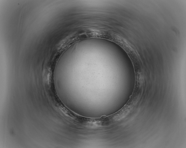 X0000113010760200909031314