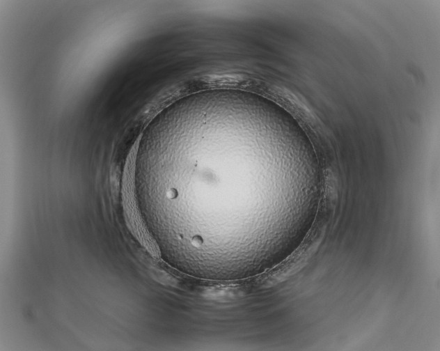 X0000113010761200909031314