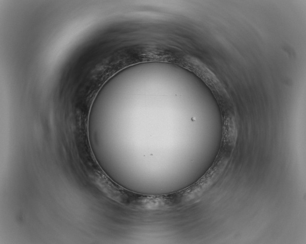 X0000113010762200909031314