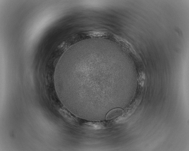 X0000113010763200909031314