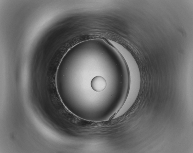 X0000113010764200909031314