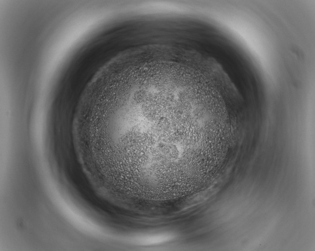 X0000113010765200909031314