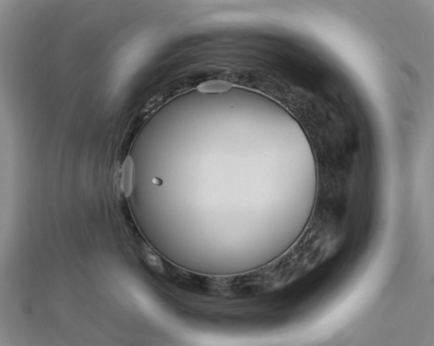 X0000113010766200909031314