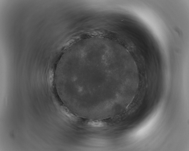 X0000113010767200909031314