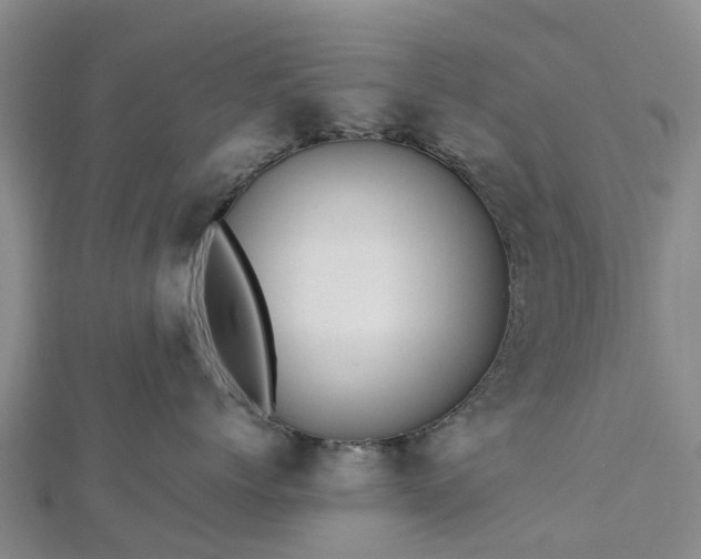 X0000113010768200909031314