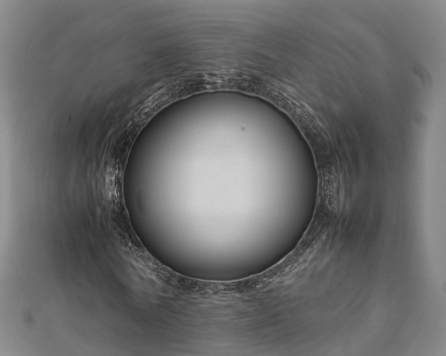 X0000113010770200909031313