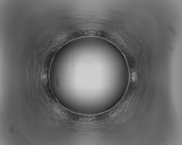 X0000113010771200909031313