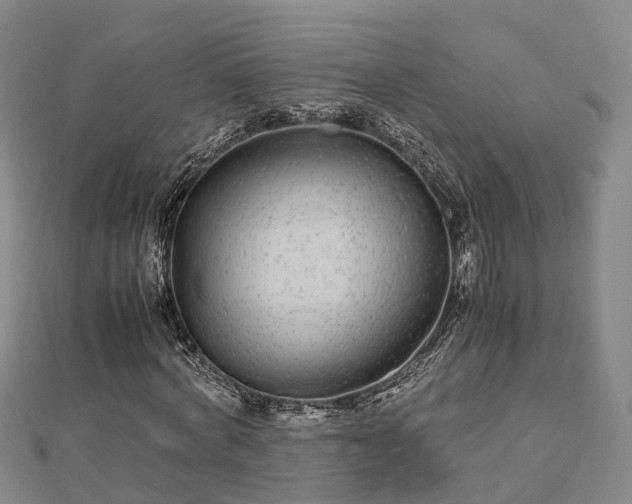 X0000113010772200909031313