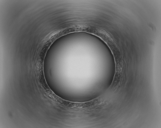 X0000113010773200909031313