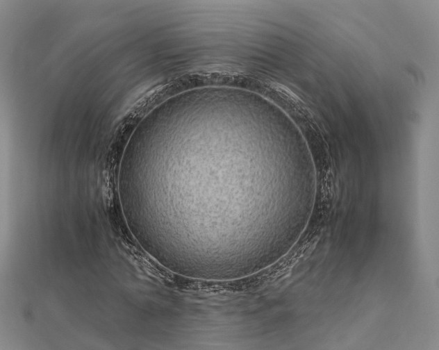 X0000113010774200909031313