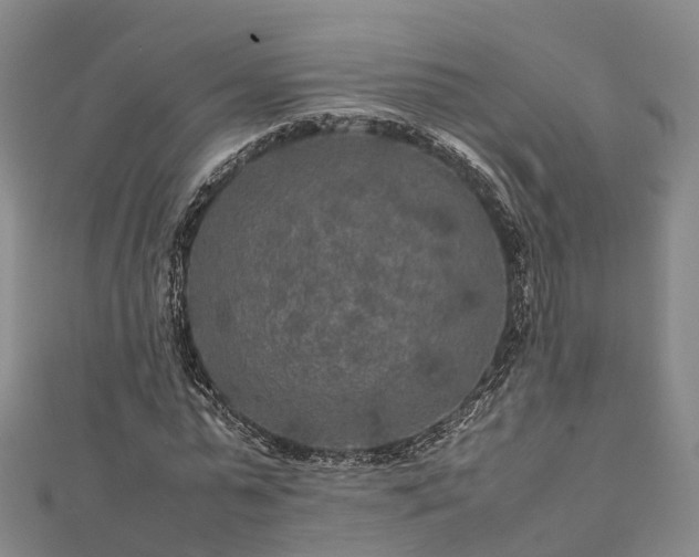 X0000113010775200909031313