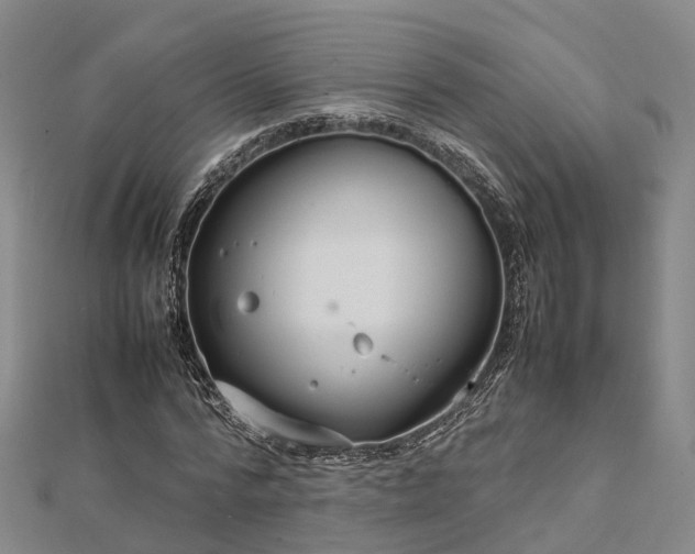 X0000113010776200909031313