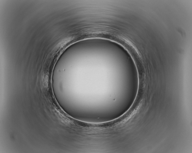 X0000113010777200909031313