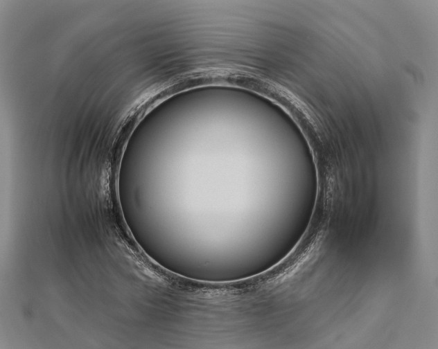 X0000113010778200909031313