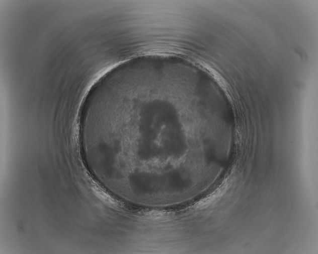 X0000113010779200909031313