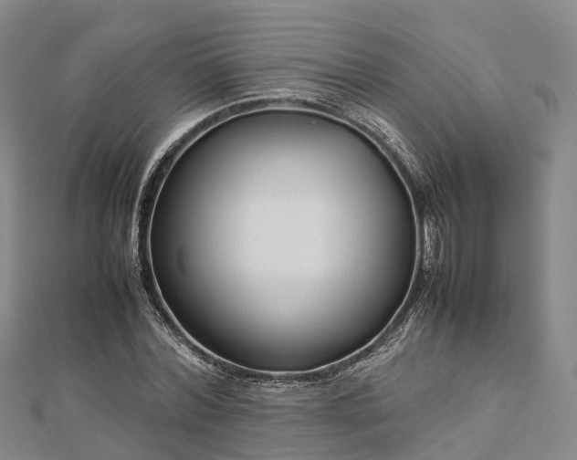 X0000113010780200909031313