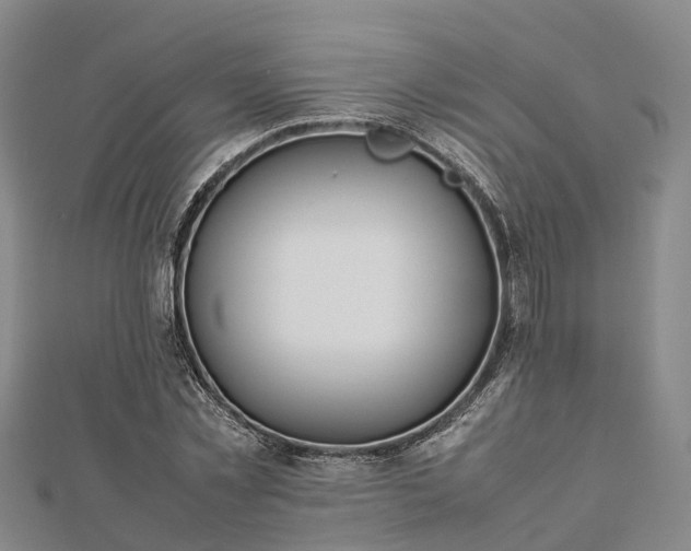 X0000113010781200909031313