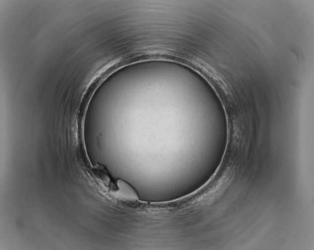 X0000113010782200909031313