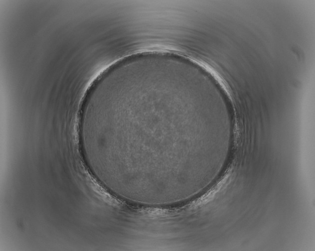 X0000113010783200909031313