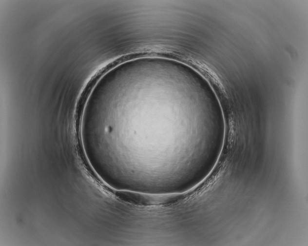 X0000113010784200909031313