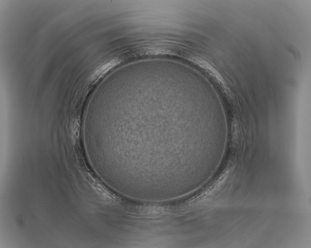 X0000113010785200909031313