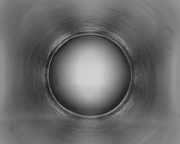 X0000113010786200909031313