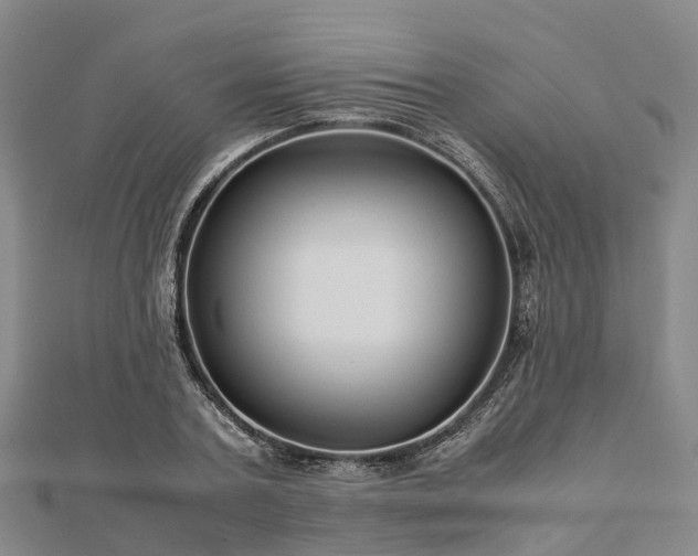 X0000113010787200909031313