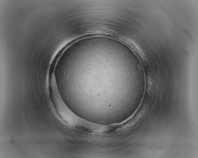 X0000113010788200909031313