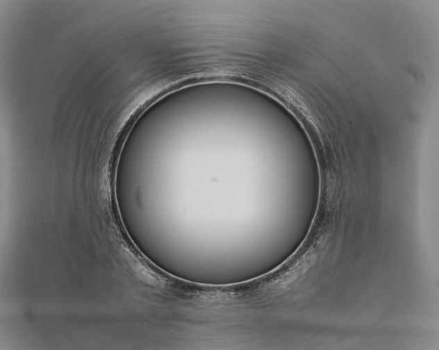 X0000113010789200909031313