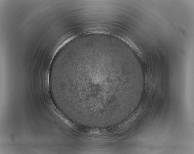 X0000113010790200909031313